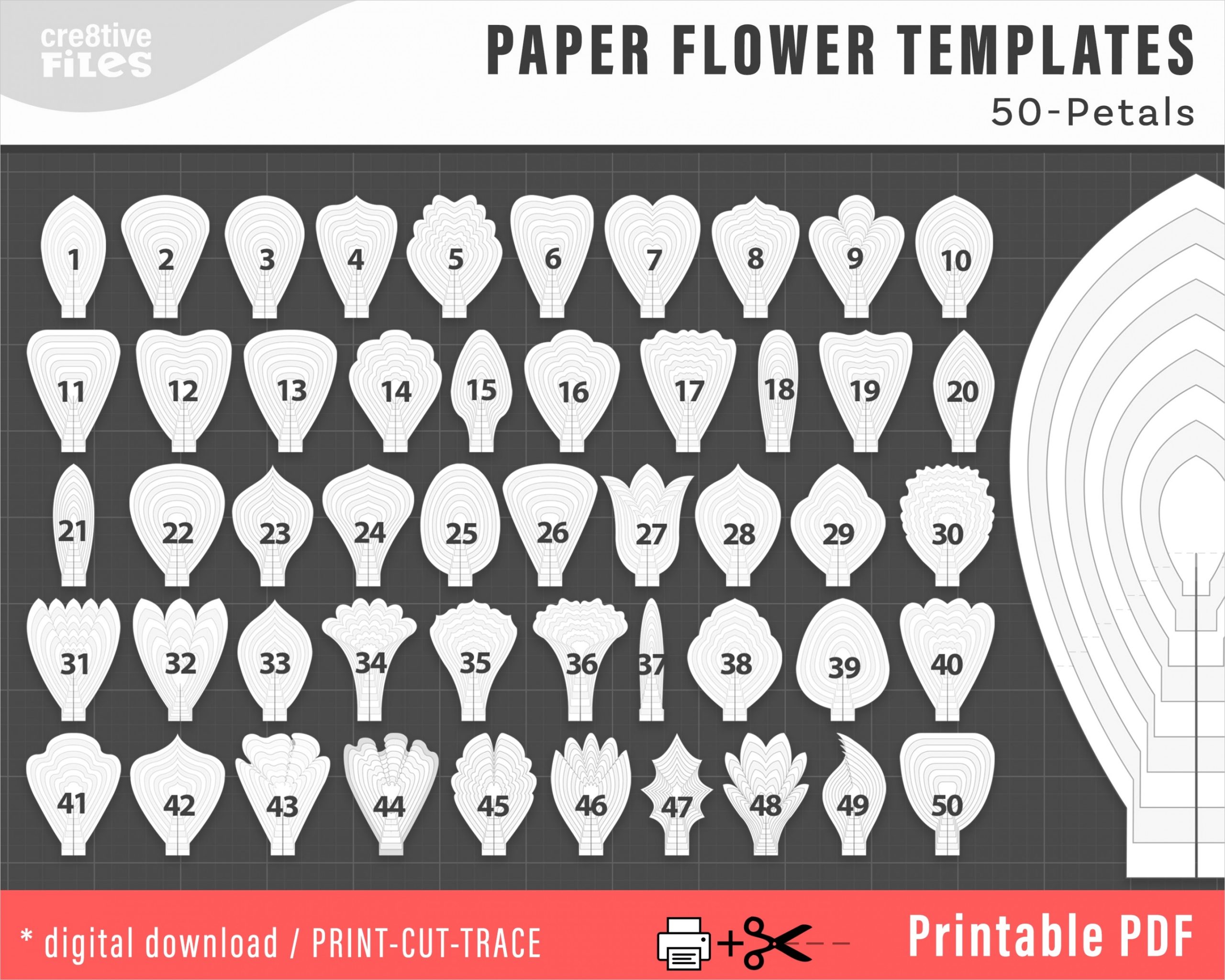 50 pdf printable paper flower petal