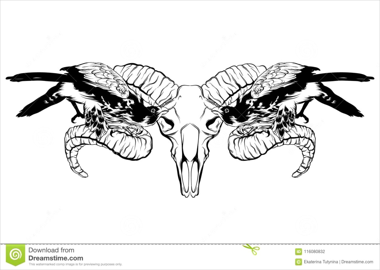 vector hand drawn illustration falcon ram skull isolated vector hand drawn illustration falcon ram skull isolated image
