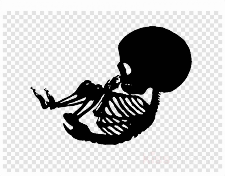 u2r5t4r5w7y3a9y3 skeleton stencil png clipart clip art transparent rugby