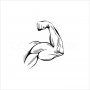 Muscle Arm Cartoon