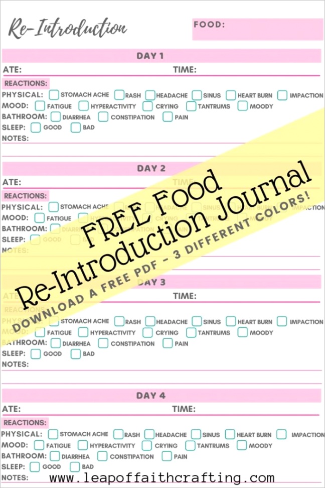 food diary pdf