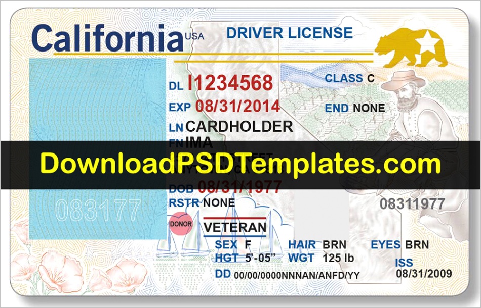 california driving license template psd