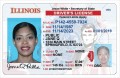 Tennessee Drivers License Template