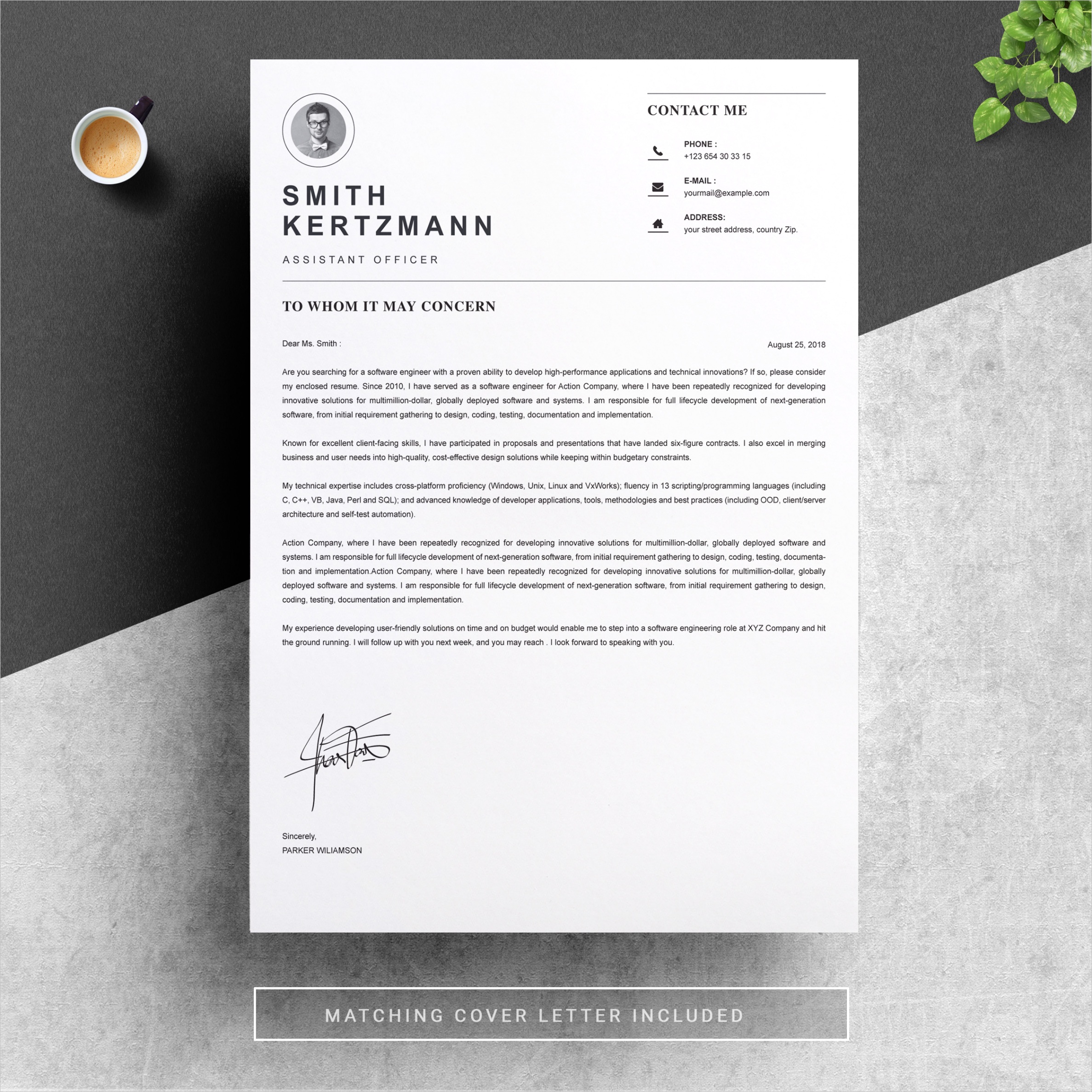 professional resume template 4