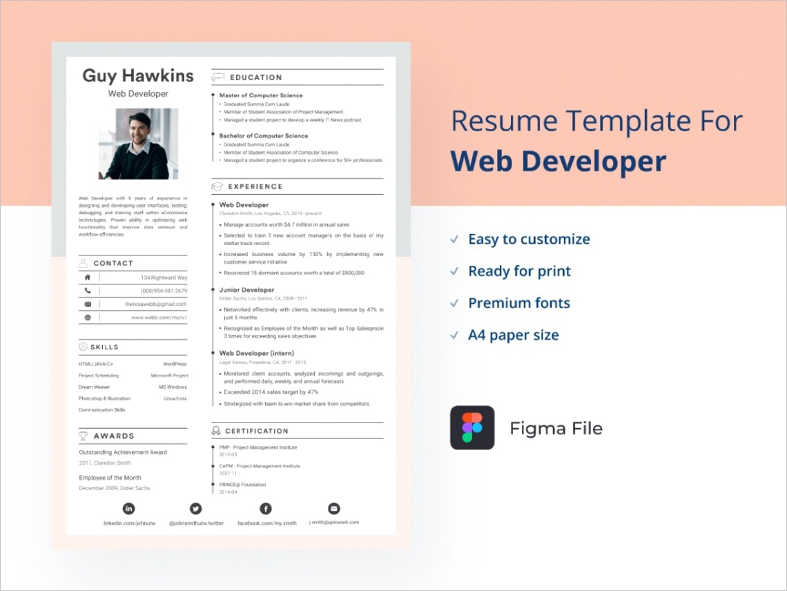 web developer resumecv template 2021 simple