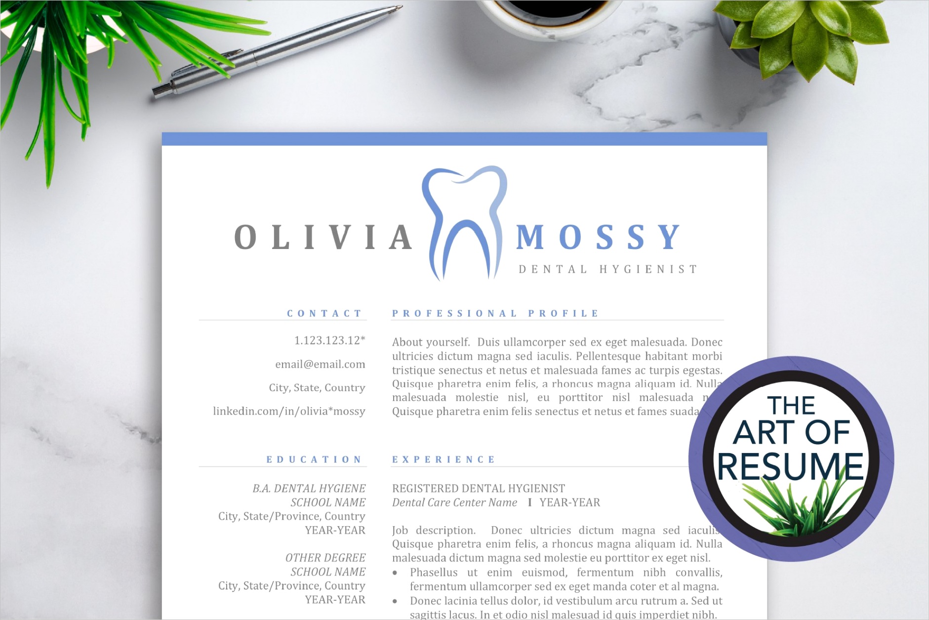 Hygienist Resume Template Dentist CV