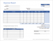 Download Expense Report Template