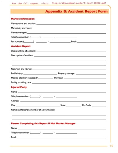 ca accident report form example