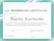 Free Llc Membership Certificate Template