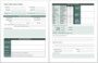 Software Incident Report Template