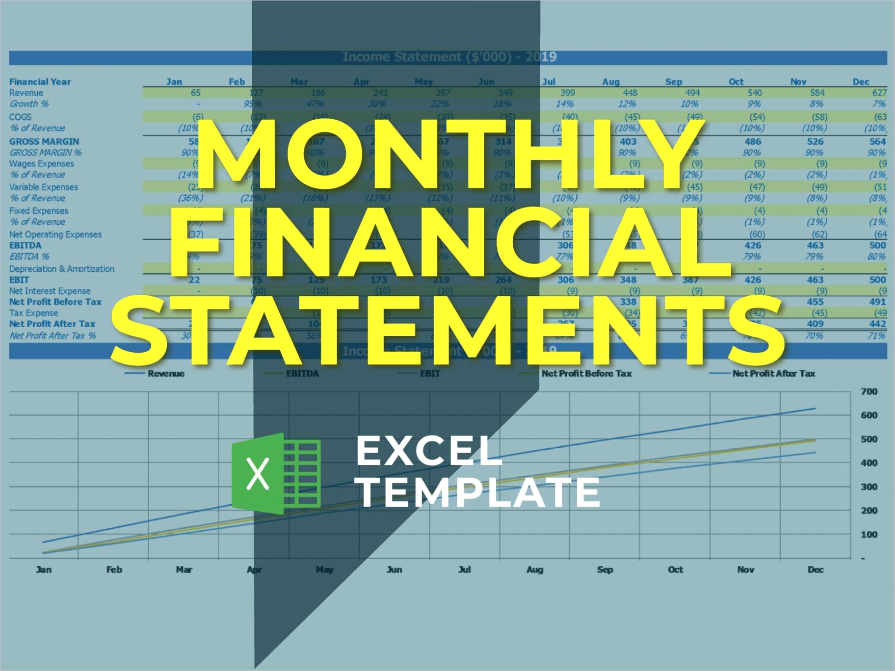 monthly financial statement