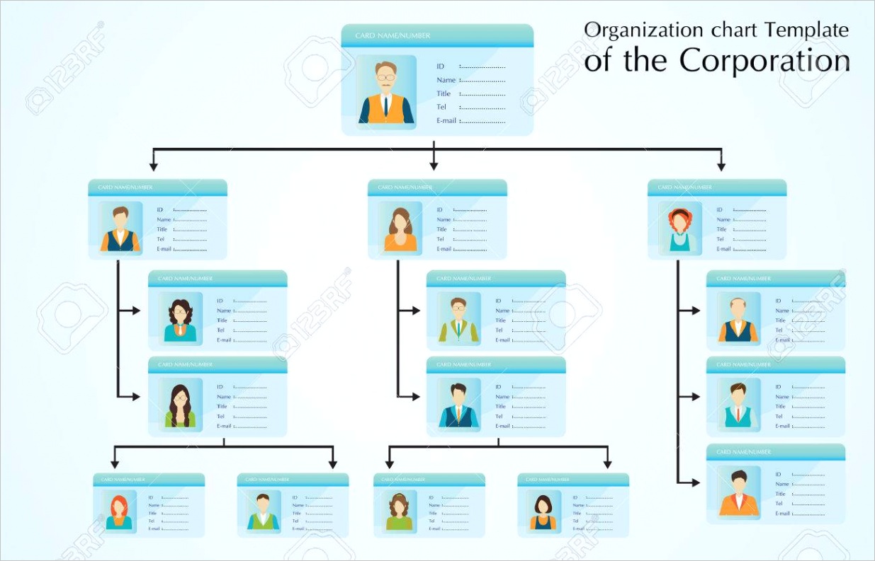 photo organizational chart template of the corporation business hierarchy people structure character carto