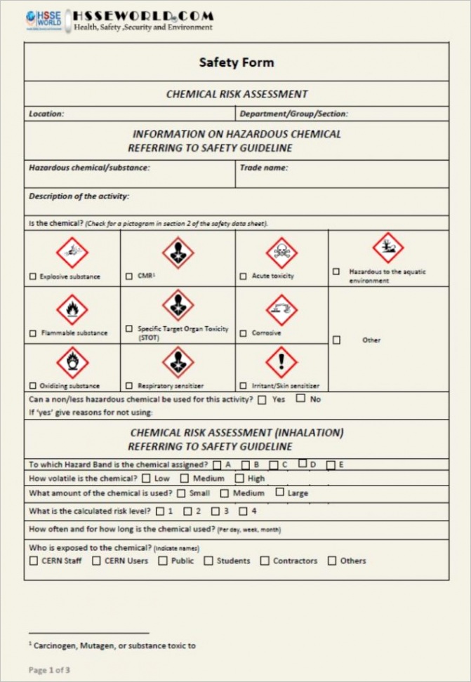 chemical risk assessment form