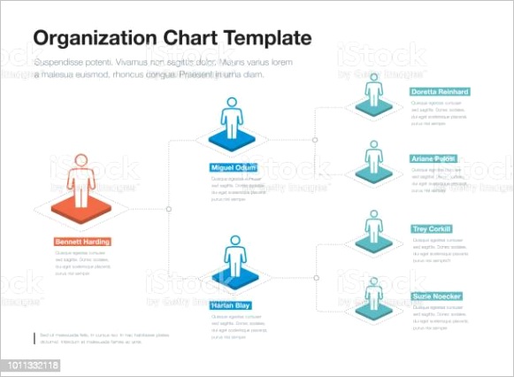 simple pany organization hierarchy chart template with place for your content gm