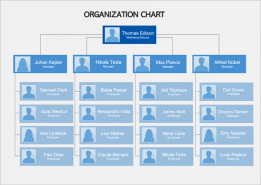 blank organizational chart samples