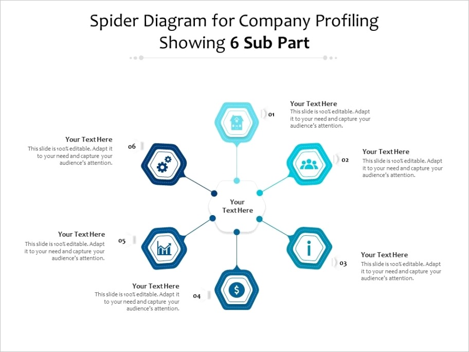 spider diagram for pany profiling showing 6 sub part