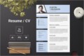 Resume Examples Templates Word