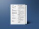 Rn Resume Template Free