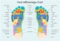 Free Reflexology Foot Charts