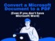 Pdf To Microsoft Word Document