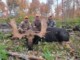 Moose Hunting Quebec Non Resident