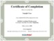 Form Acm 1 1 0 Certificate Incorporation Connecticut